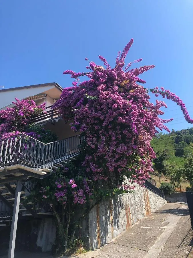 Hotel San Carlo Massa Massa